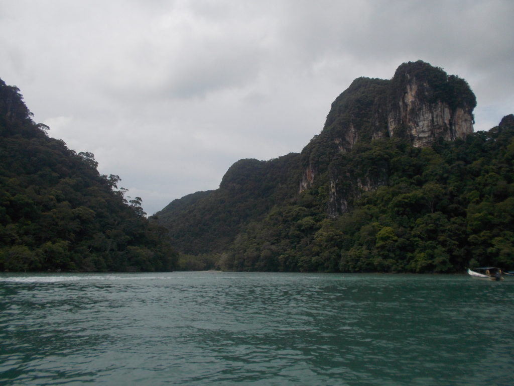 Langkawi, mangrove