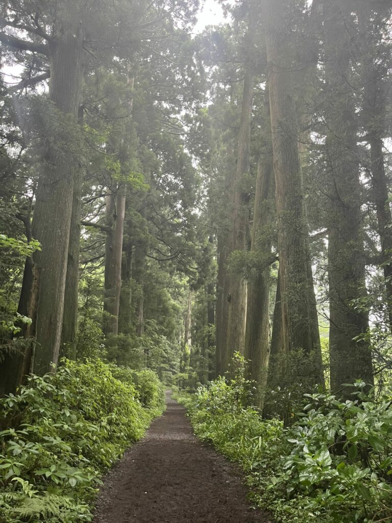 wandeling in hakone, fuji