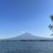 mt fuji