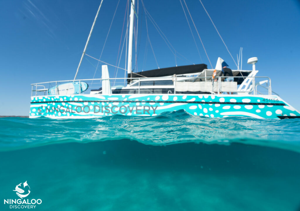 ningaloo discovery
