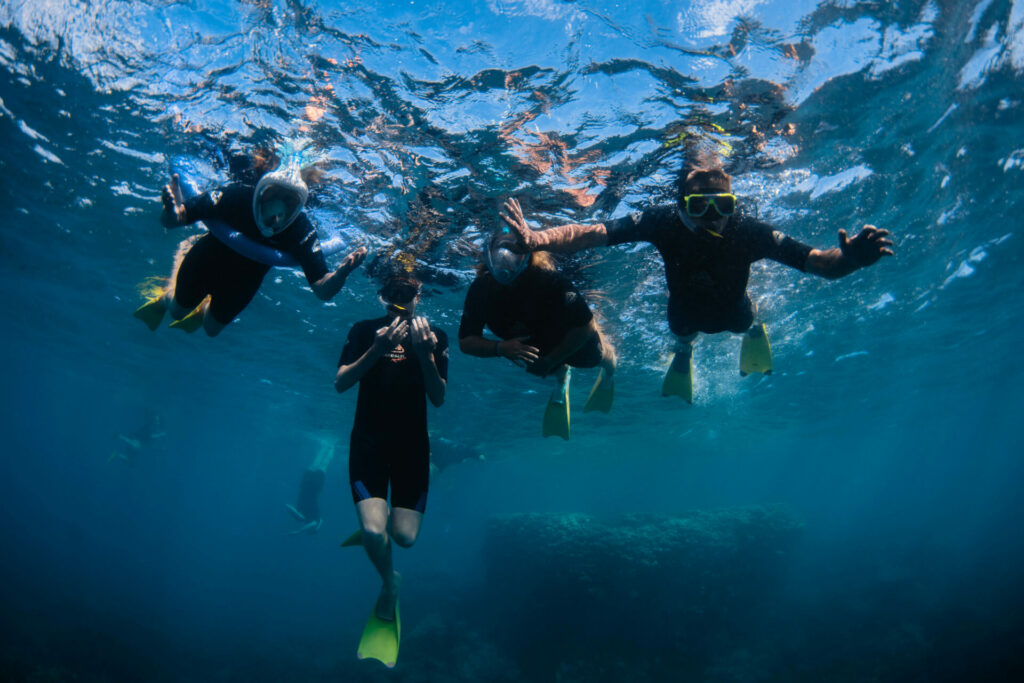 Ningaloo snorkelen