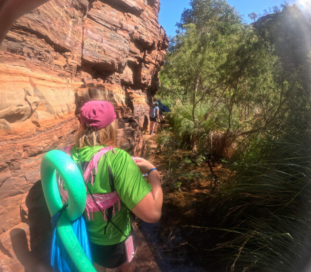 me in dales gorge