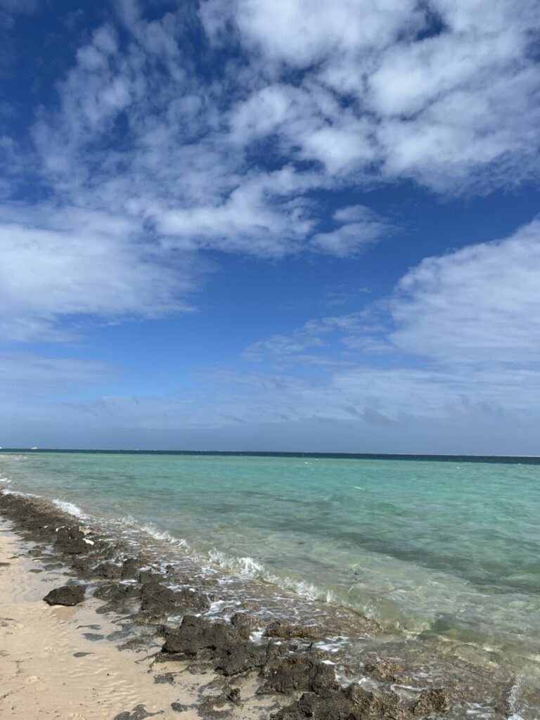 Coral bay Ningaloo rif