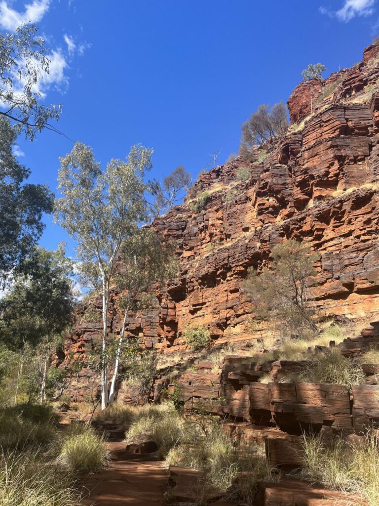 Dales gorge karijini