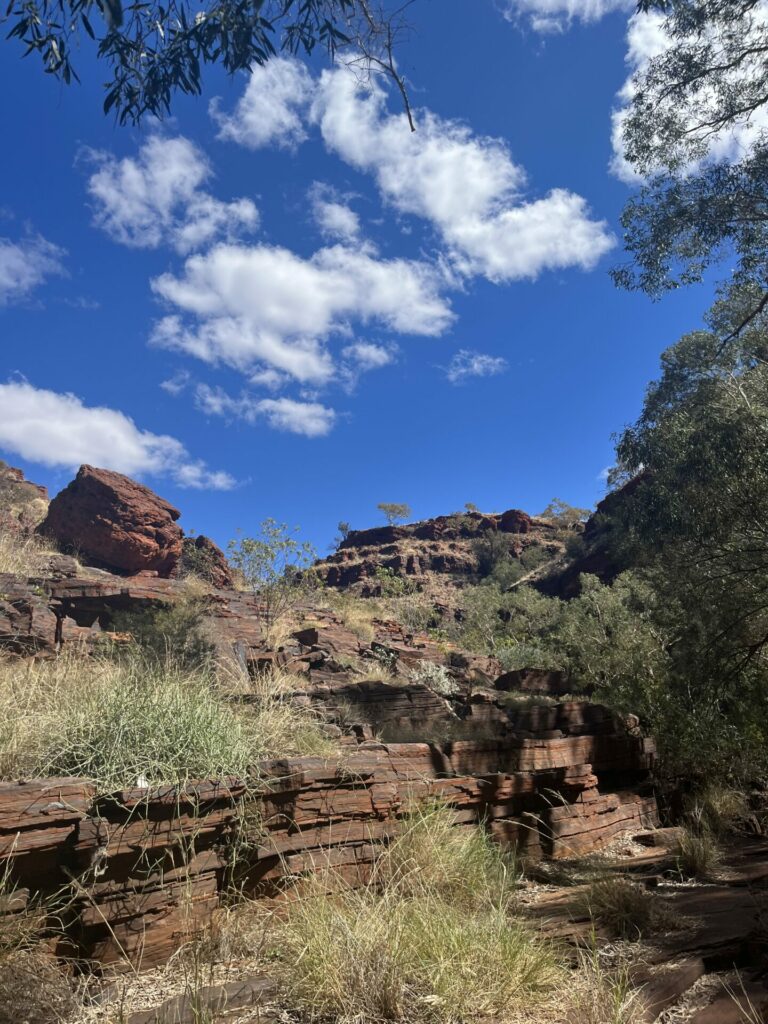 Dales gorge karijini