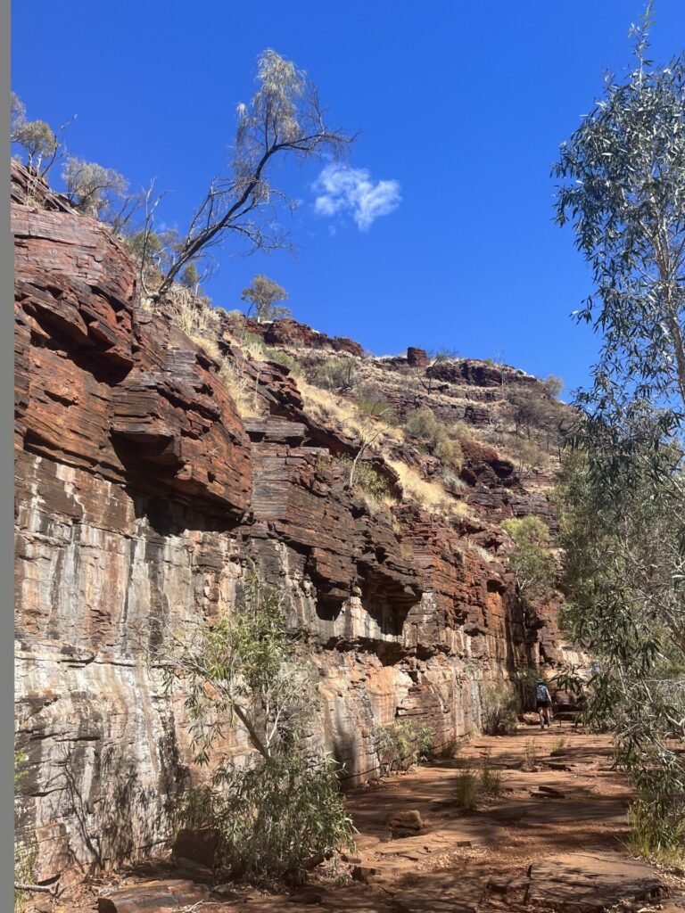 Dales gorge karijini