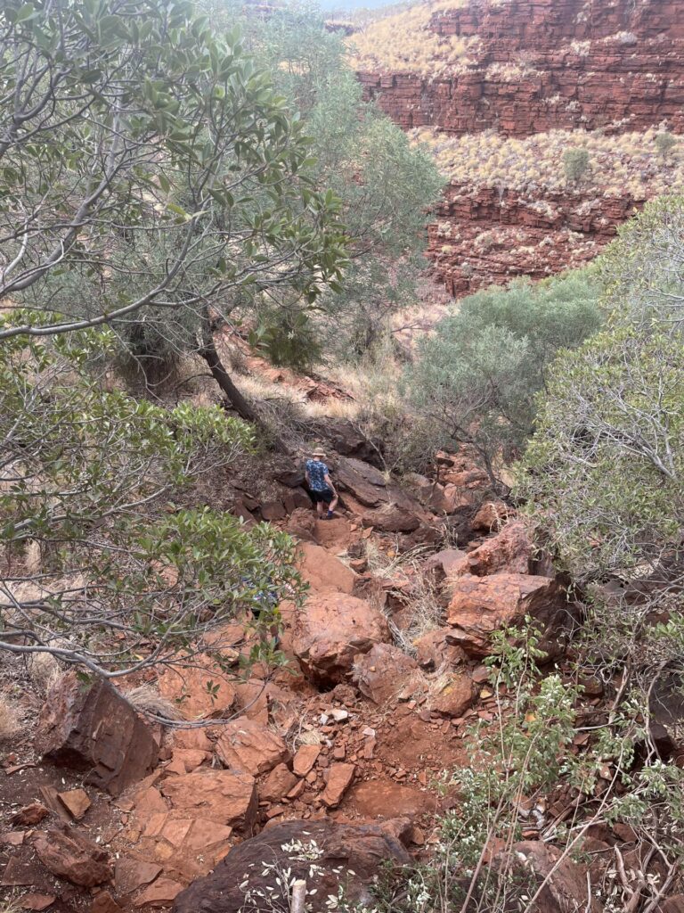 Hancock gorge hike karijini