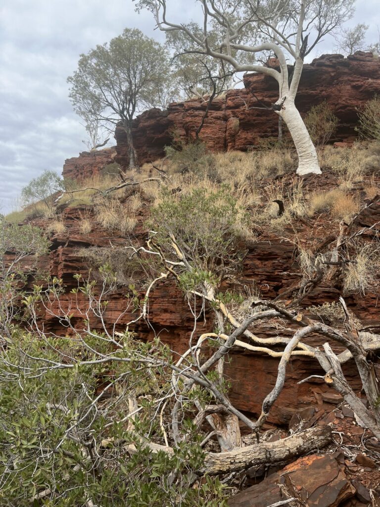 Hancock gorge hike karijini