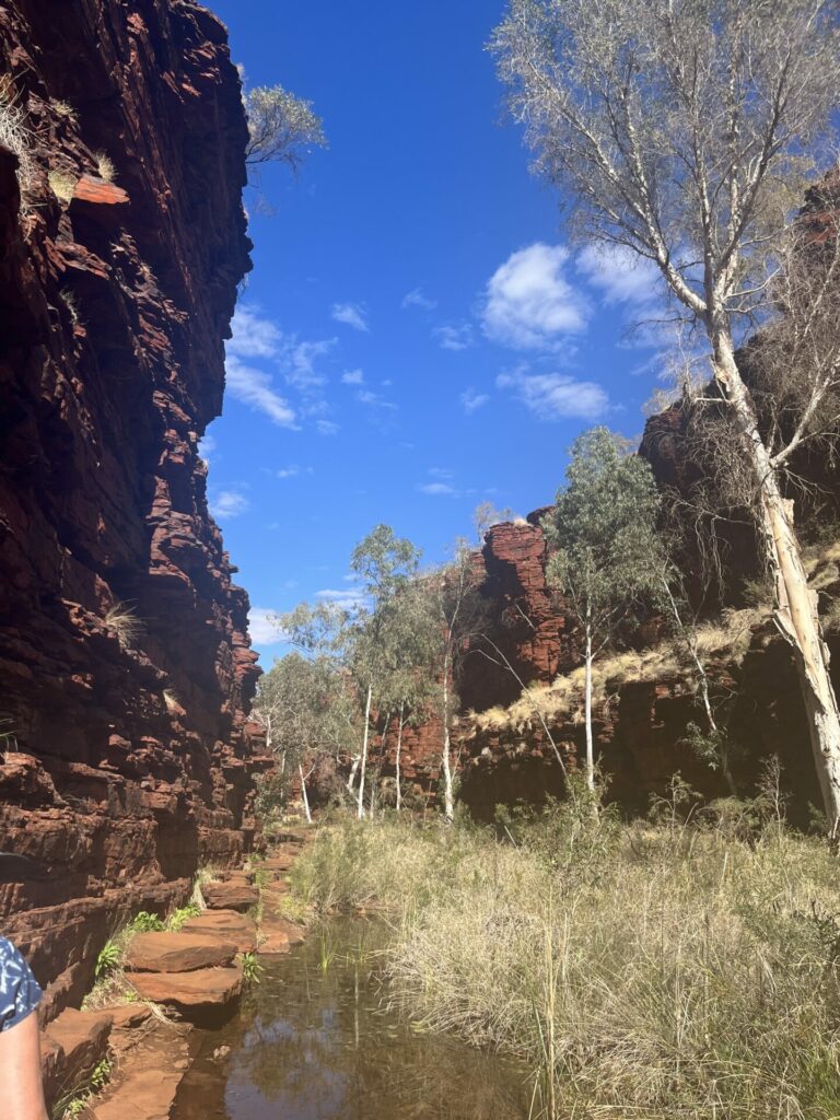Weano gorge karijini