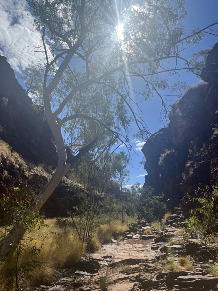 Weano gorge karijini