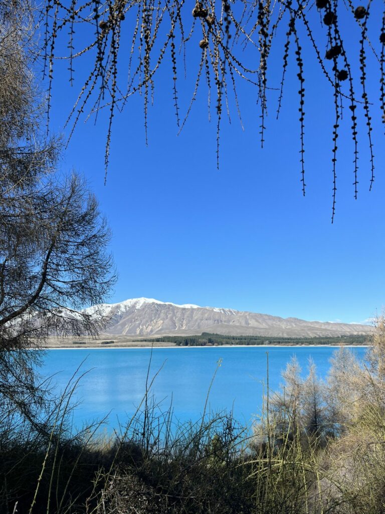 Lake tekapo, nieuw-zeeland