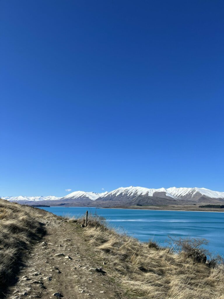Lake tekapo, nieuw-zeeland
