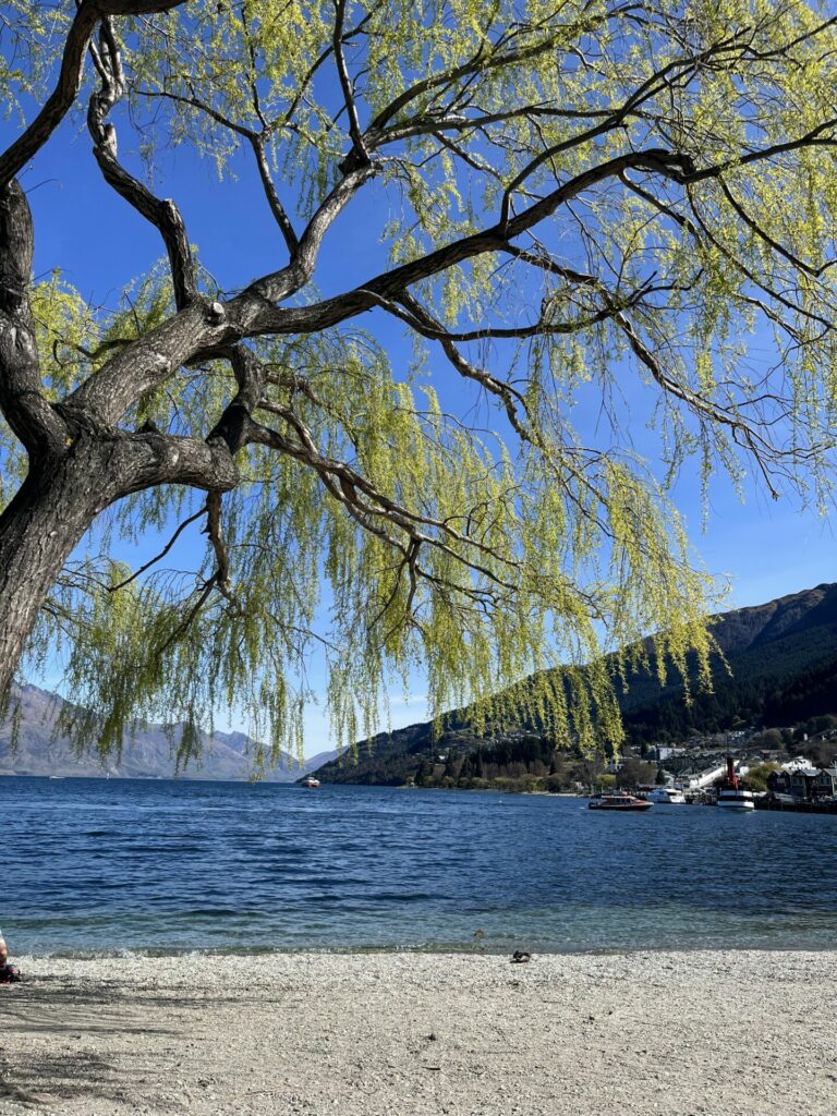 het meer van queenstown