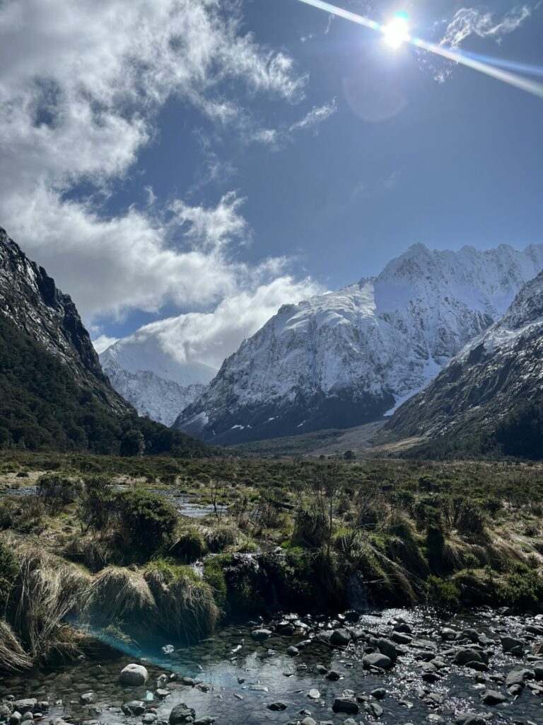 Weg naar Milford Sound vanuit Queenstown