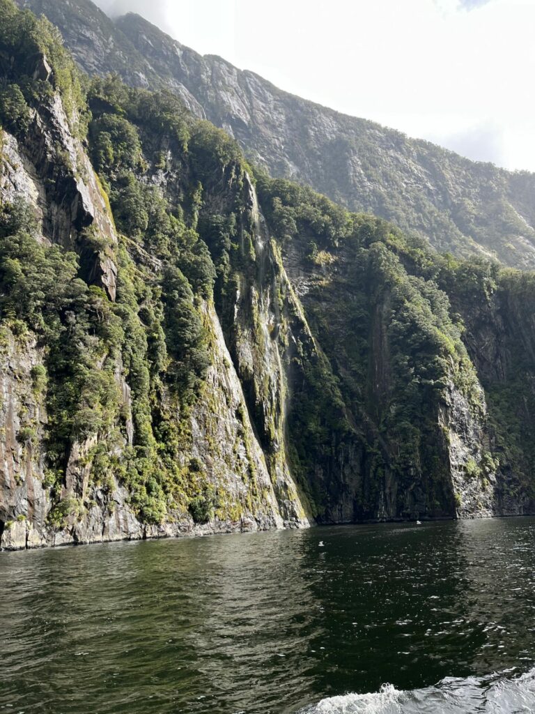 Milford sound