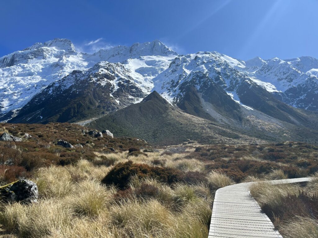 Mt. Cook/Hooker Valley 