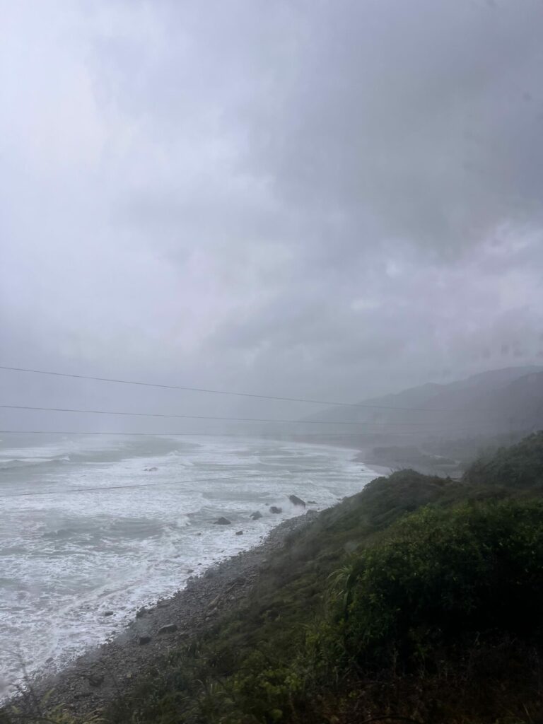 Fox glacier naar Nelson
