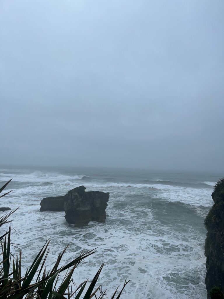 Fox glacier naar Nelson