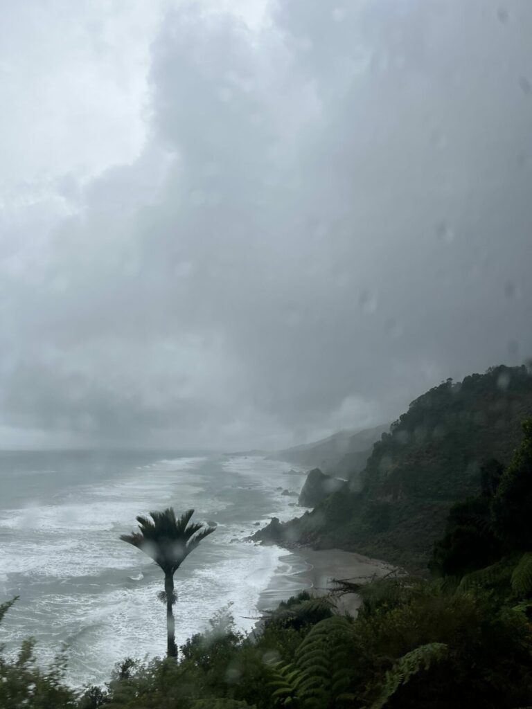 Fox glacier naar Nelson