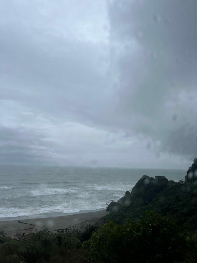 Fox glacier naar nelson