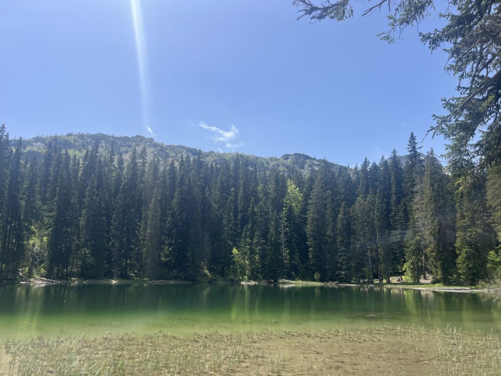 snake lake durmitor national park
