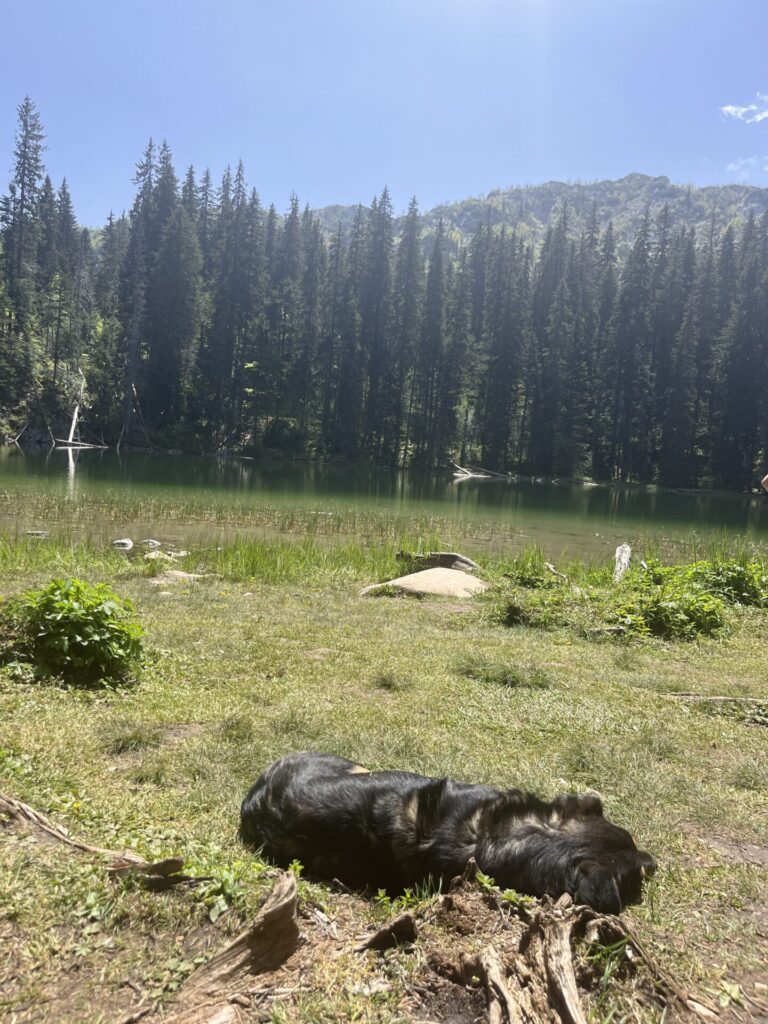 snake lake durmitor national park