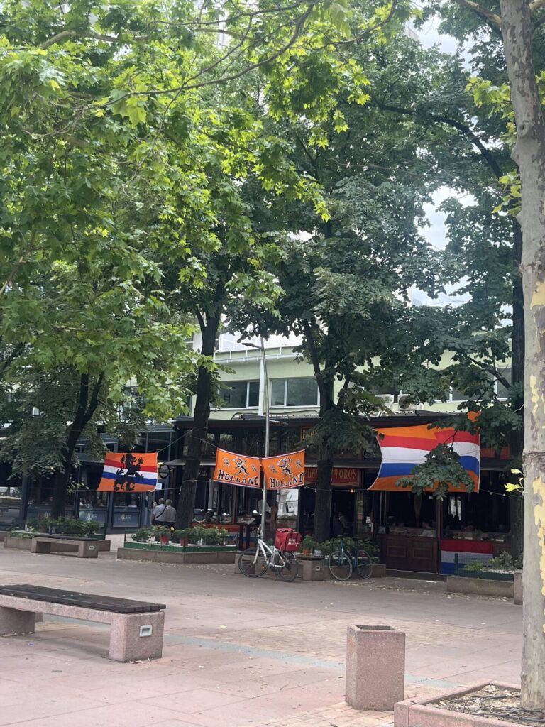 nederlandse vlaggen voor het WK in skopje, noord-macedonië