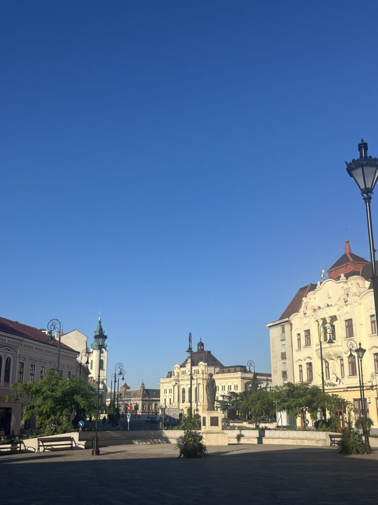 oradea centrum