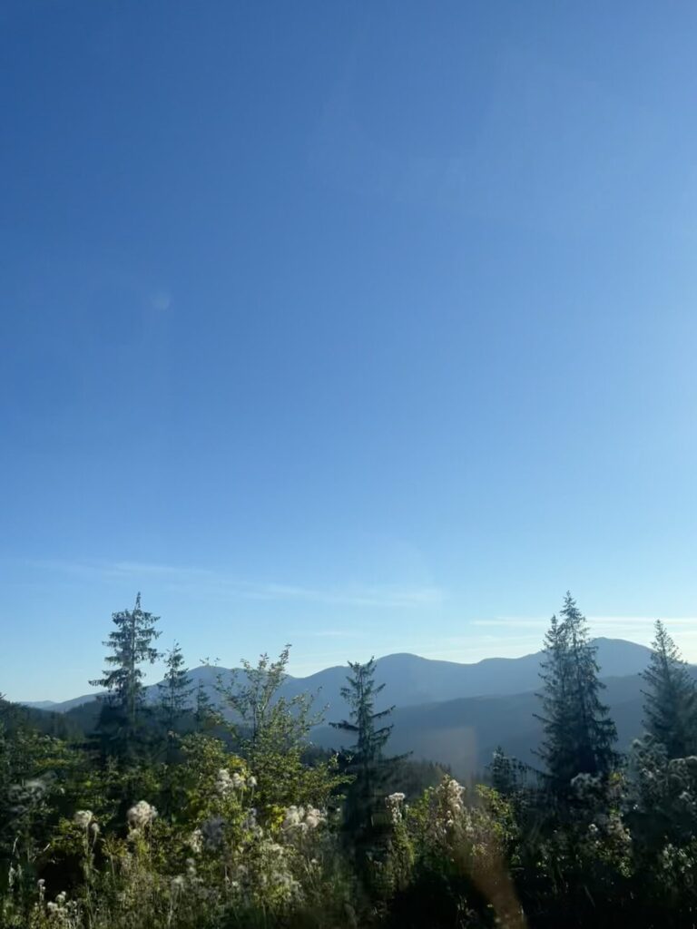 onderweg naar Bucovina